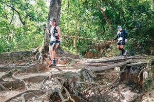 BIB: 
                            <button type="button" onclick="openModal(27721742)" class="btn btn-primary btn-sm float-right btn-popup" data-toggle="modal" data-target=".modal-high-quality">
                        <i class="fas fa-shopping-cart"></i> Add to Cart
                    </button>
                                            <button type="button" onclick="isThisMe(27721742, true)" class="btn btn-success btn-sm float-right btn-popup btn-isme hidden" data-toggle="tooltip" data-placement="bottom" title="นี่คือรูปของคุณใช่ไหม คลิกที่นี่เพื่อเอาเข้าอัลบั้ม">
                        <i class="fas fa-plus"></i> Add to album
                    </button>
                    <button type="button" onclick="isThisMe(27721742, false)" class="btn btn-warning btn-sm float-right btn-popup btn-isnotme hidden">
                        <i class="fas fa-ban"></i> Remove from album
                    </button>